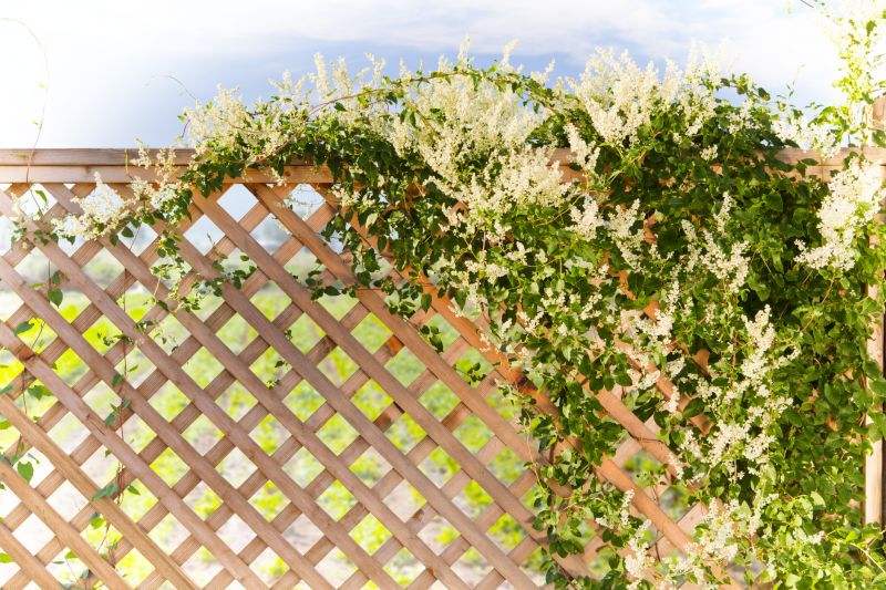 Rose Trellis Installation in Kansas City, KS