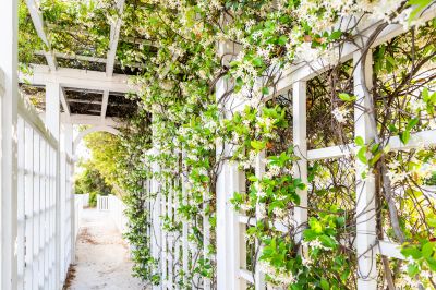 Trellis Fence Construction in Conroe, TX